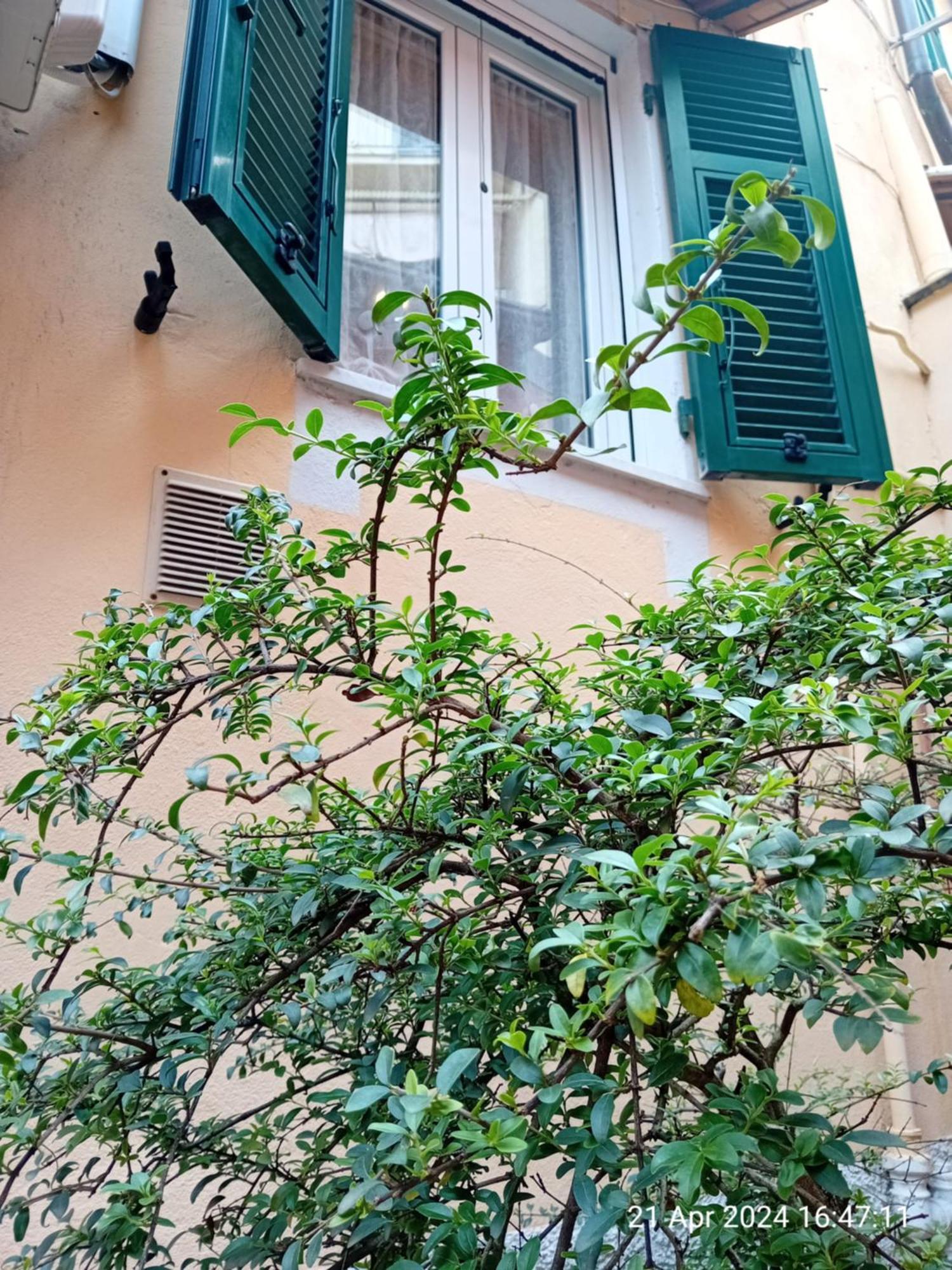 Appartamento Il Vicolo La Spezia Cinque Terre Extérieur photo