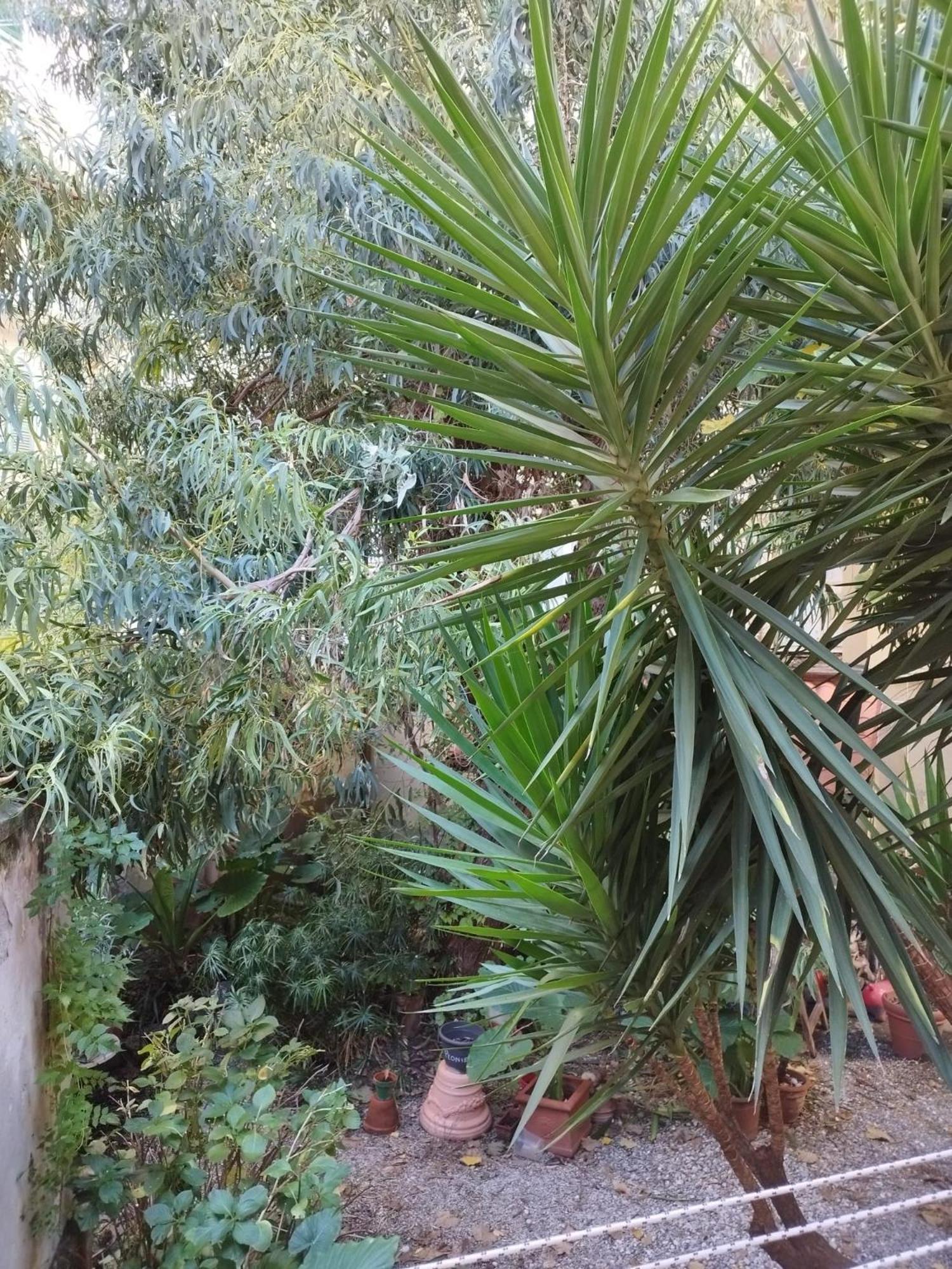 Appartamento Il Vicolo La Spezia Cinque Terre Extérieur photo