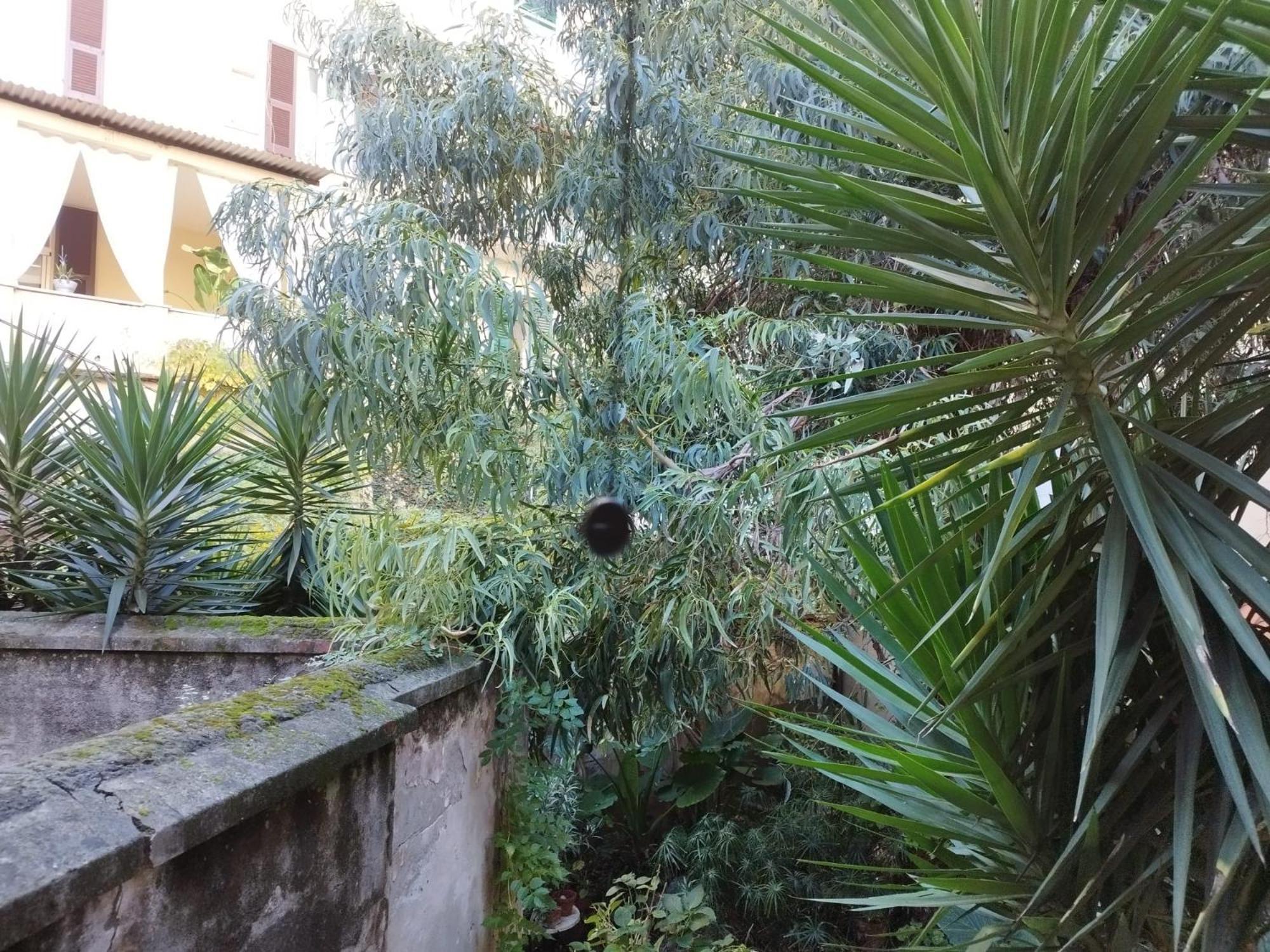 Appartamento Il Vicolo La Spezia Cinque Terre Extérieur photo