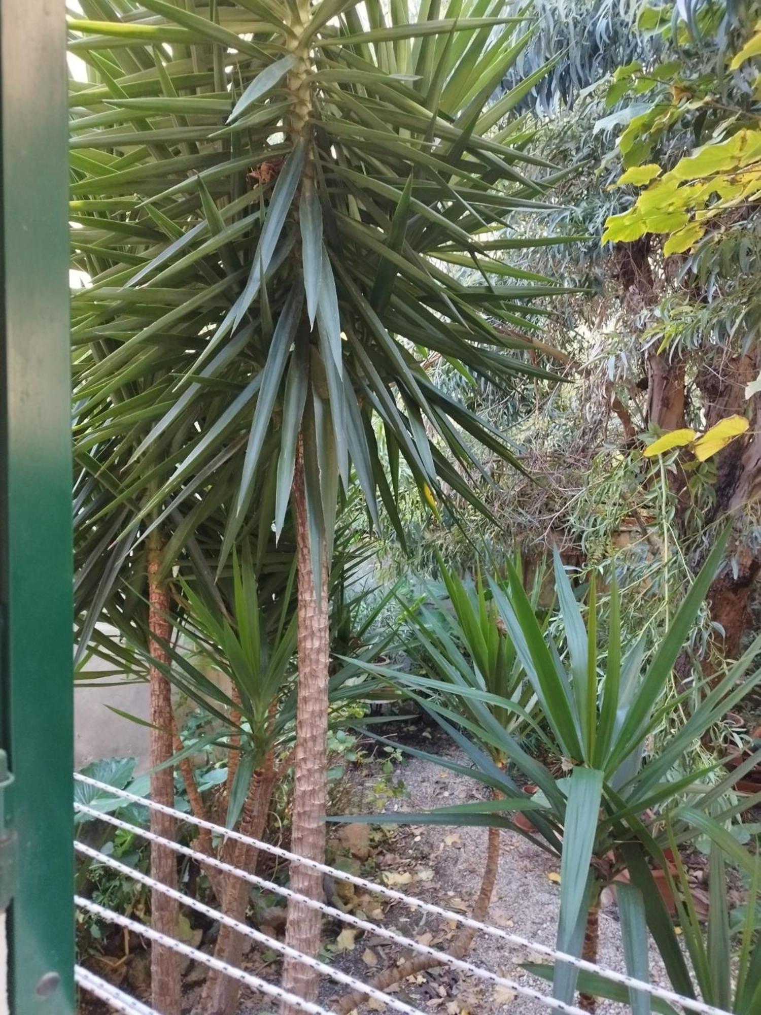 Appartamento Il Vicolo La Spezia Cinque Terre Extérieur photo